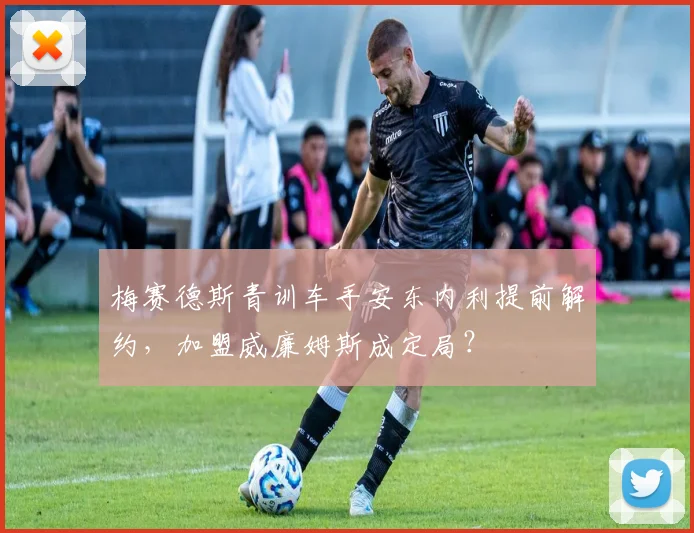 梅赛德斯青训车手安东内利提前解约，加盟威廉姆斯成定局？