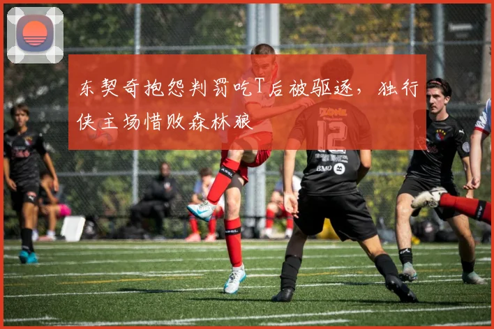 东契奇抱怨判罚吃T后被驱逐，独行侠主场惜败森林狼